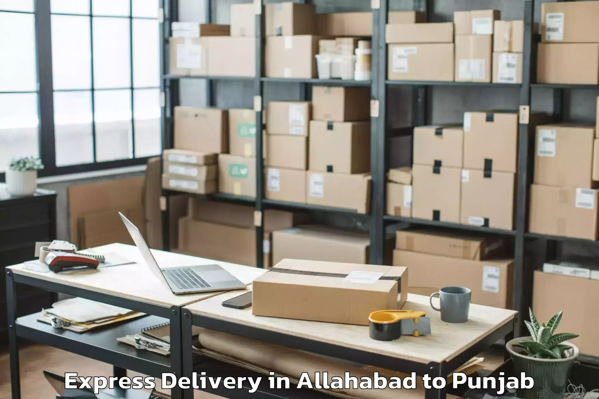 Trusted Allahabad to Punjabi University Patiala Pat Express Delivery